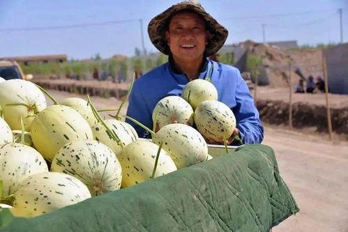群众第一次吃瓜视频,首次尝鲜!群众热传吃瓜视频引热议