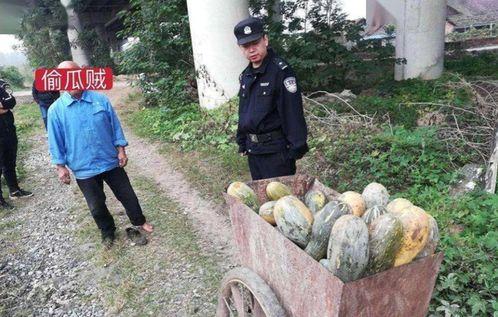 奉节老师吃瓜事件视频,一场网络风波引发的思考