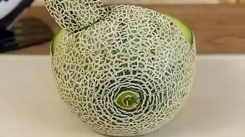 拿勺吃哈密瓜的视频大全,拿勺品尝的趣味视频大盘点