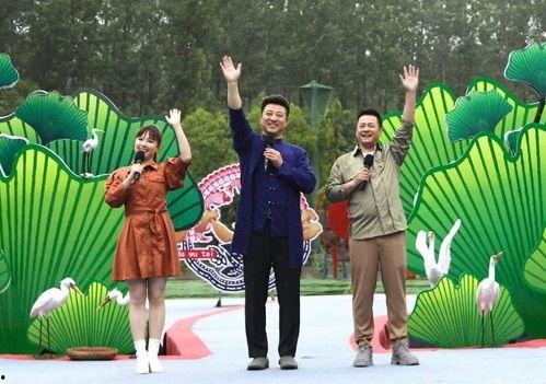 保定吃瓜事件近期视频,网络热议背后的真相与反思