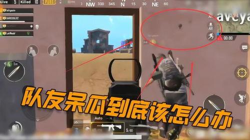 吃鸡司马呆瓜视频,笑料百出!吃鸡司马呆瓜搞笑瞬间大盘点