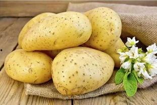 瓢瓜土豆蒸着吃的做法视频,瓢瓜土豆蒸制新吃法,简单易学,营养满分