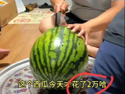 韩国人免费吃瓜视频,全民共享的娱乐盛宴