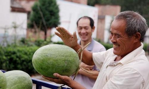 吃瓜照怎么拍视频技巧好,吃瓜照视频拍摄技巧全解析