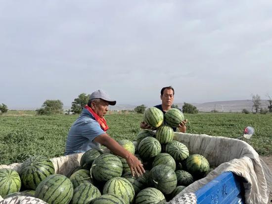 梨花巷吃瓜群众视频,揭秘街头热辣视频背后的故事
