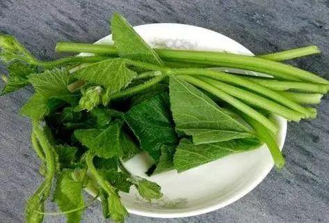 信阳吃瓜视频,揭秘当地特色美食与风土人情